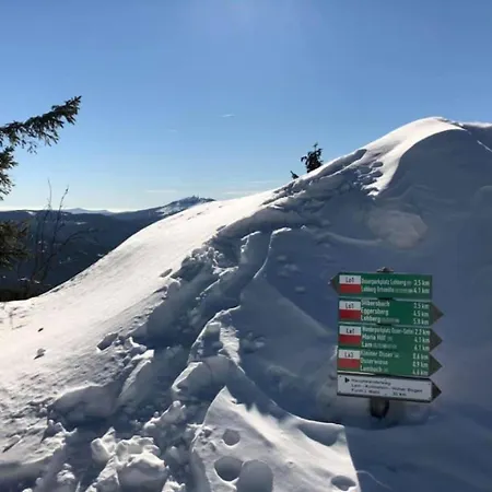 Berghotel Mooshütte Naturidyll auf 950m-3