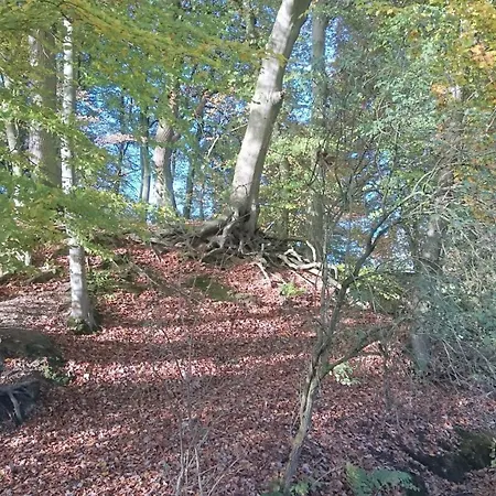 Mobilheim am See-2