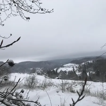 Glühalm Willingen-3