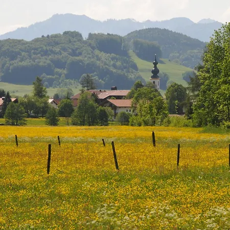 Ferienwohnungen im Alpengästehaus Marzoll - Bad Reichenhall, Adults only, keine Haustiere-3