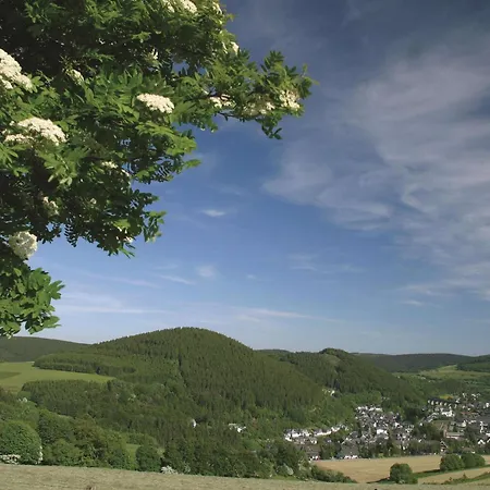 Best Western Plus Hotel Willingen-3