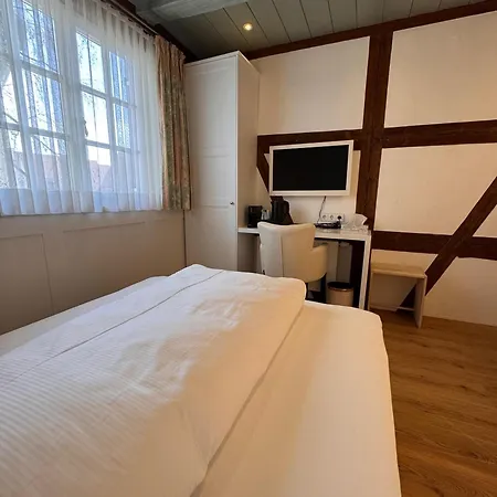 Boutique Hotel am Rathaus - Reblaus-3
