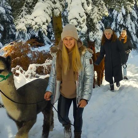 Alpaca-Village-2