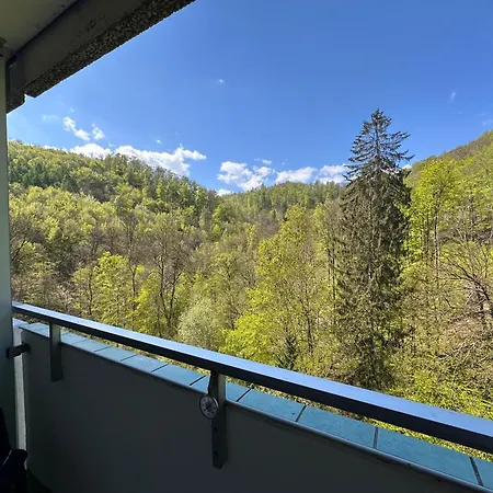 Waldblick - Bad Harzburg-2