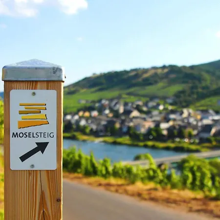 Gästehaus Weingut Mathy-Schanz-2