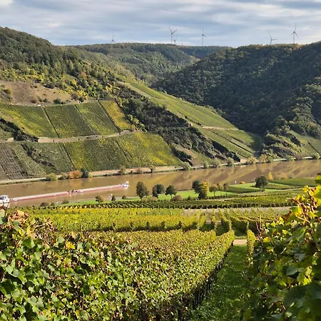 Weingut Mathy-Schanz-3