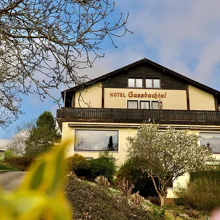 Hotel Gassbachtal-2