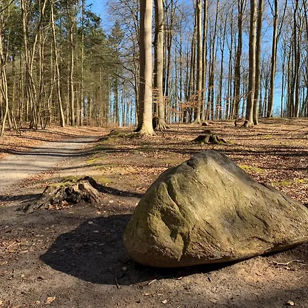 Pension Zur Ostsee-3