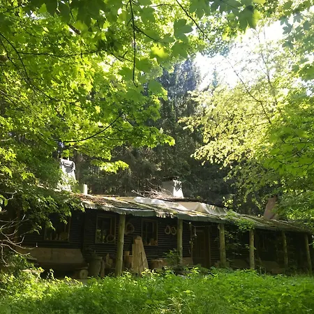 Das wilde Auwaldhaus-2