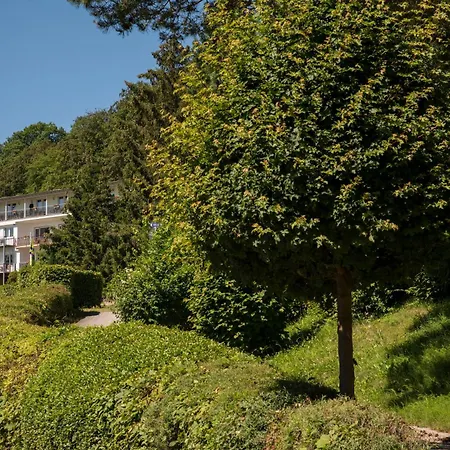 PlusNaturHotel direkt am Ederseeufer Waldhotel Wiesemann und Ferienapartments-2