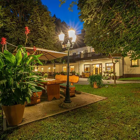 Waldgasthof & Hotel Am Sauwald-2