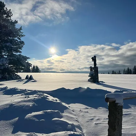 Ferienwohnung Am Kanadablick-3