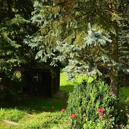 Apartment Nahe Erzgebirge Fuer 2 Personen-3