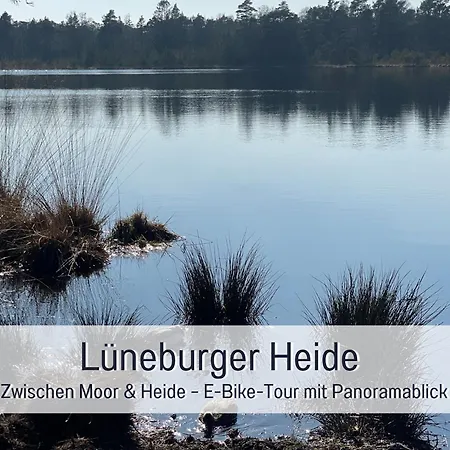 Meine Schule Sehlingen, Familien&Generations Landurlaub, Freunde&Team-Auszeit, Workation, Sauna, Ruhe&Erholung, Niedersachsen, Verden, Hamburg, Bremen, Lüneburger Heide, Heide Park 38 km , Serengeti Park 39 km, Weltvogelpark 22 km-3