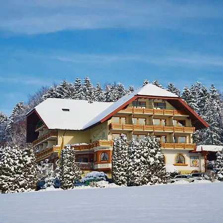 Silberkönig Schwarzwald Hotel&Restaurant Ringhotel-3