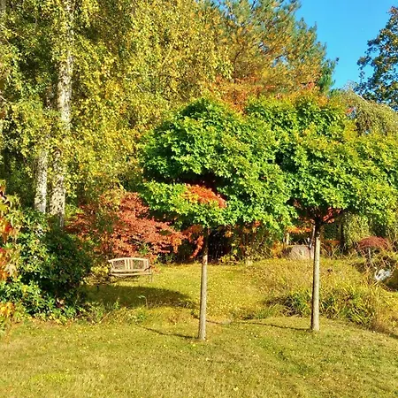 Ostsee-Pension An der Lindenallee-3