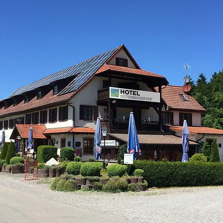 Hotel Seltenbacher Hof-3