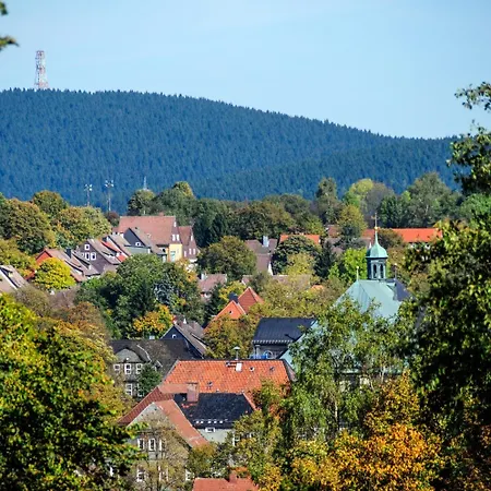Hotel Zum Harzer-3