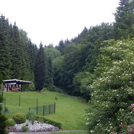 Hotel&Gasthof Hubertushöhe - Ihr Hotel für Urlaub mit Hund-2