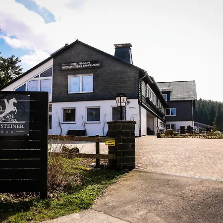 Wittgensteiner Landhaus Winterberg-2