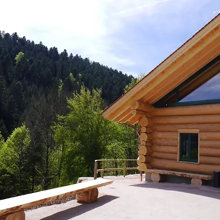 Hotel Therme Bad Teinach-2