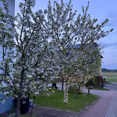 Hotel Am Mueritz-Nationalpark-3