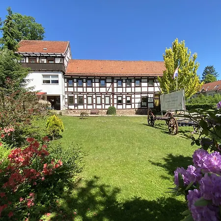 Hotel Pension Gelpkes Mühle-2
