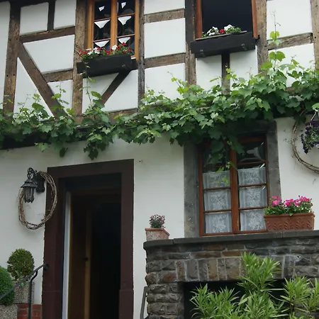Hotel Weingut Dehren-3