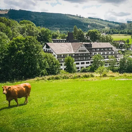 Sauerland Alpin Hotel-2