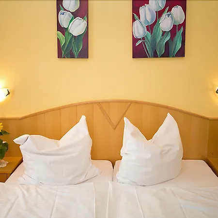 Hotel Zwei Mohren-3