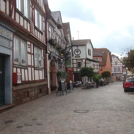 City Hotel Mark Michelstadt-3
