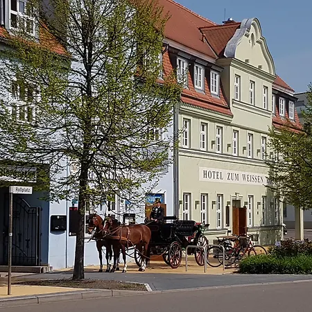 Hotel Zum Weissen Ross-3