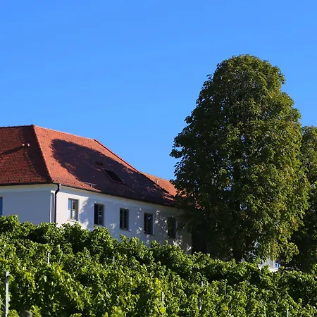 Vogelsburg-2