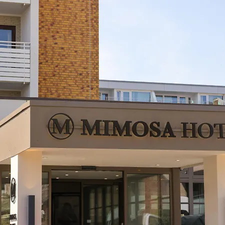 Mimosa Hotel-2