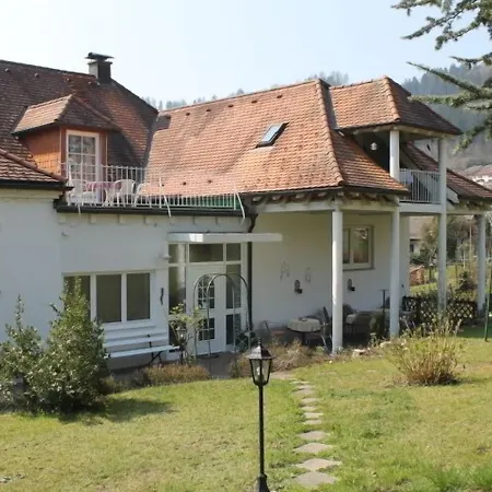 Schwarzwaldhotel / Wolfach-3