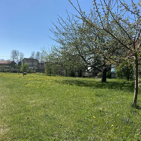 Gasthof Graf-2