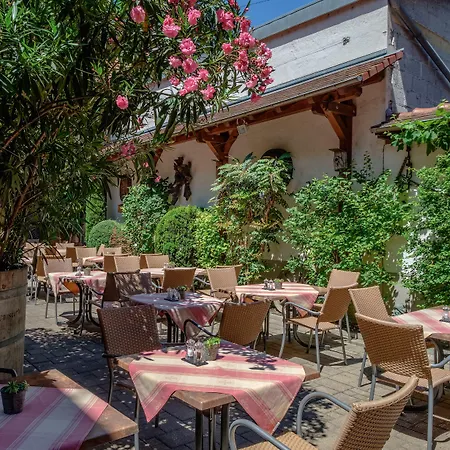 Weinhotel / Gasthaus zur Sonne-3