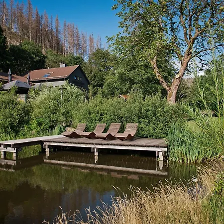 Tiny House Nature 12 - Green Tiny Village Harz-2