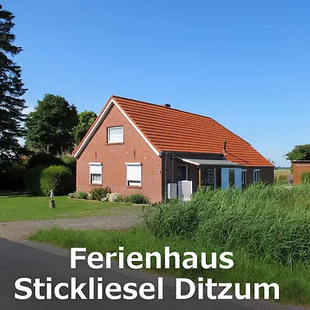 Ferienhaus STICKLIESEL DITZ125 am DOLLART Emsmündung Nähe Emden Fähre-2