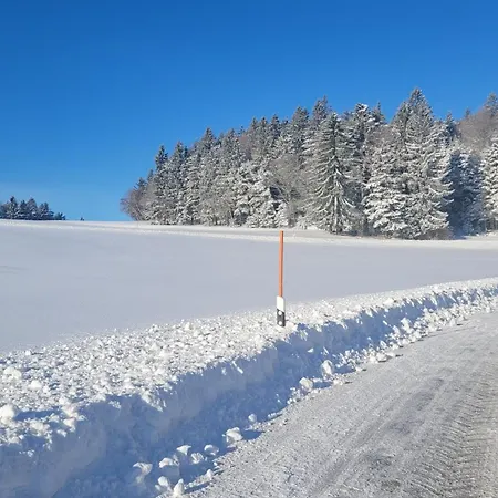Ferienbungalow Sonnenwald Bayerischer Wald-2