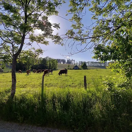 Ferienwohnungen Schneider-3