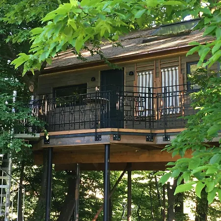 Baumhaus auf dem Kellerberg-2