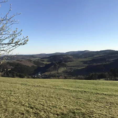 Schwedenhaus Uplandalm Willingen-2