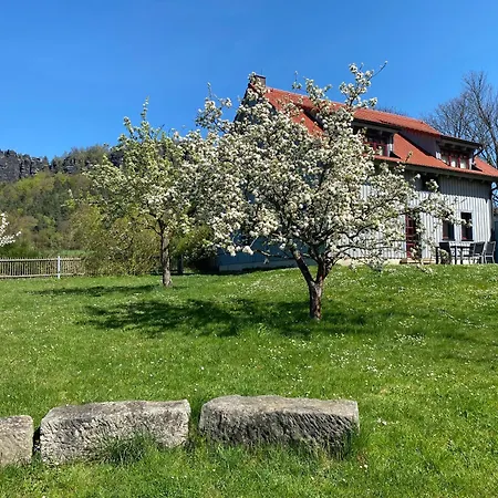 Waldhaus am Lilienstein-2
