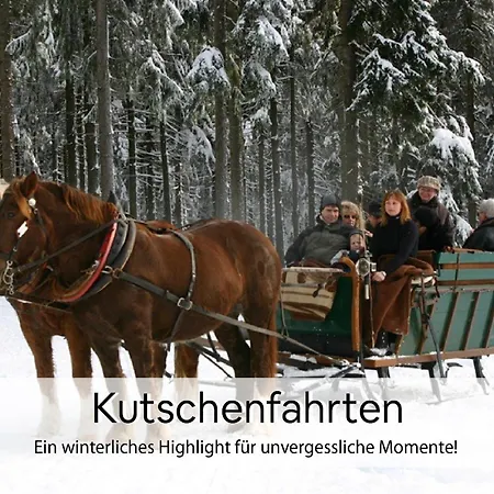 Haus Repin-3
