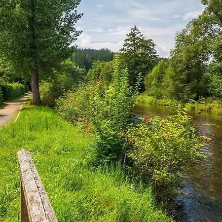Ferienhaus Nr 7, Typ B, Feriendorf Jägerpark, Bayerischer Wald-2