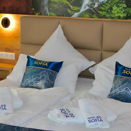 Hotel Sofia-3