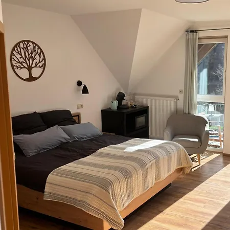 Haus Moselliebe B&B-2