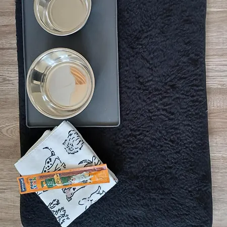 Apartmenthaus Alte Börse-2