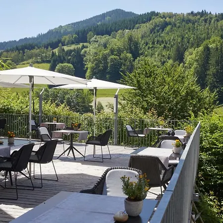 ElzLand Hotel Pfauen WELLNESS, SPA&VITALIS HOTEL-2